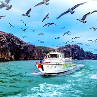 海驴岛