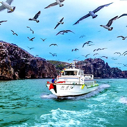 海驴岛