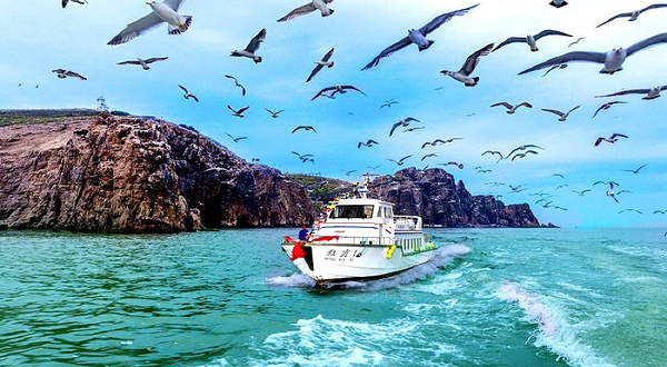 海驴岛