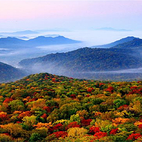 金龙山国家森林公园