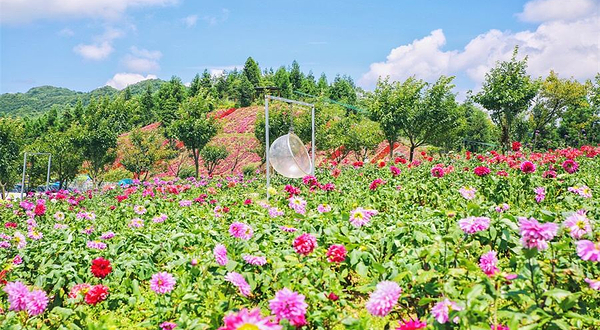 云中花都