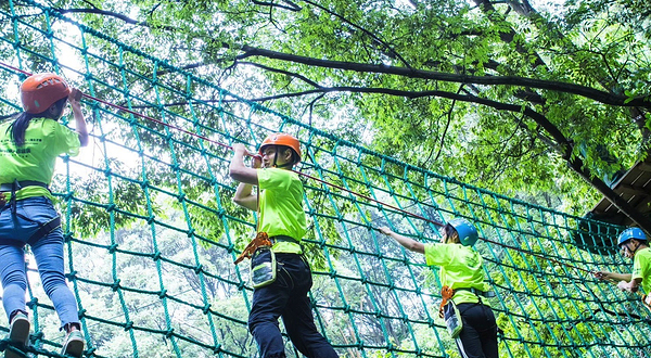 衢州大荫山丛林飞越探险乐园
