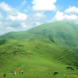 天马山生态旅游区
