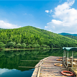 天目湖南山竹海