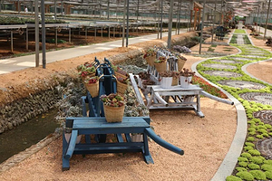 万象花卉多肉多花园(石门分园)