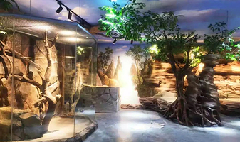 南通森林野生动物园