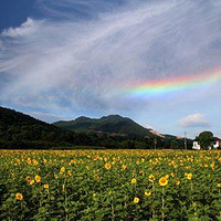 庐山博阳河生态休闲风景区