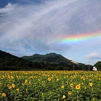 庐山博阳河生态休闲风景区