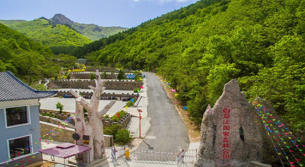 白草洼国家森林公园