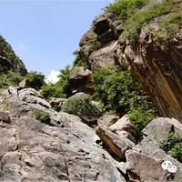 李家峡生态旅游景区