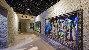 小象动物奇幻世界