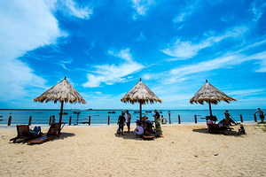北海金海湾红树林生态旅游区
