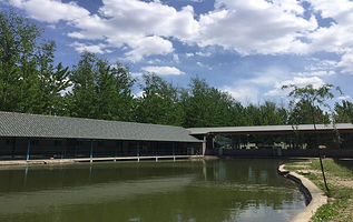 天津龙源马术俱乐部