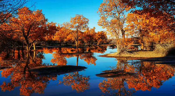 额济纳胡杨林旅游区