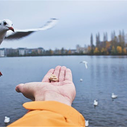无锡市太湖鼋头渚风景区