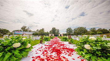 蓝莓庄园(X001店)