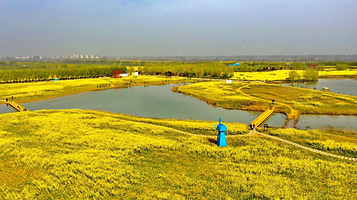 中国陈桥宋源湖景区