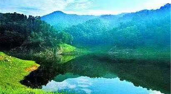 药乡国家森林公园
