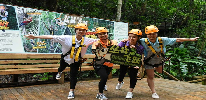 西双版纳原始森林公园丛林飞跃