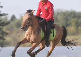 御马轩马术俱乐部