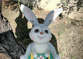 秋雪湖蝴蝶大世界