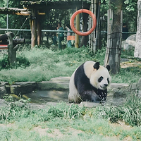 宁波野生动物园