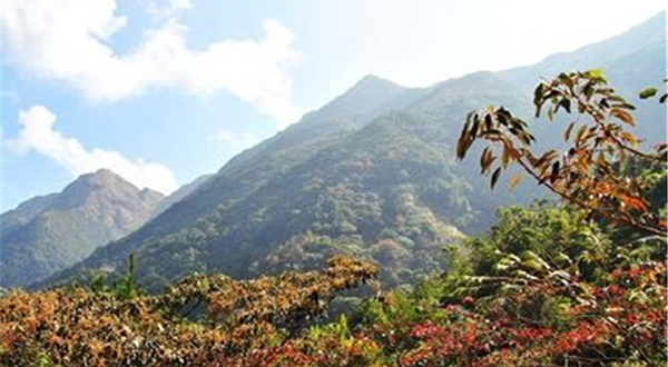 高凉岭