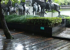 金孔雀相思林风景区