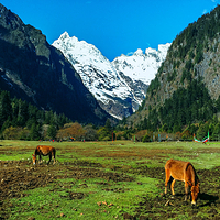 梅里雪山国家公园