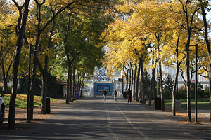 太平洋科学中心