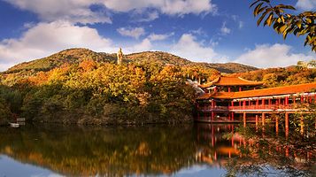 横山寺森林公园