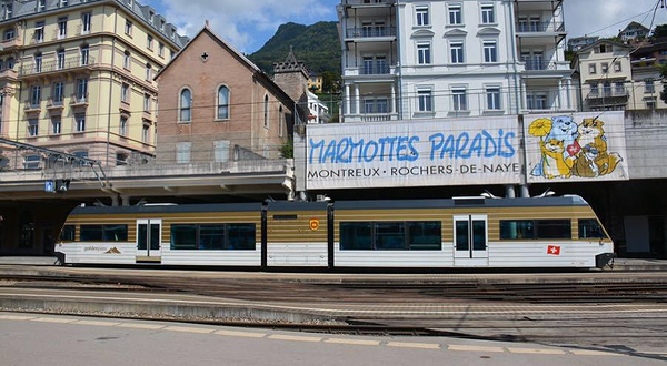 罗什德内土拨鼠乐园