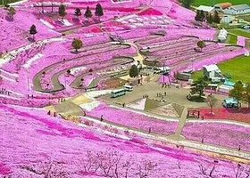 洛阳薰衣草庄园