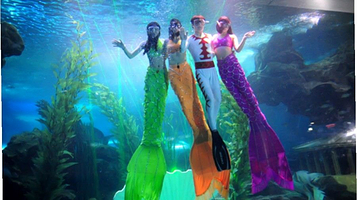 东京极地海洋馆