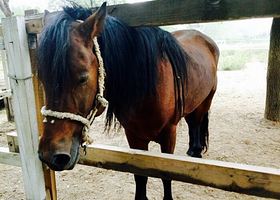 迦南农业生态观光园