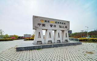 仙人岛森林公园