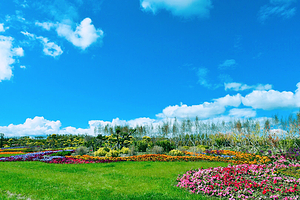 二卡湿地自然保护区