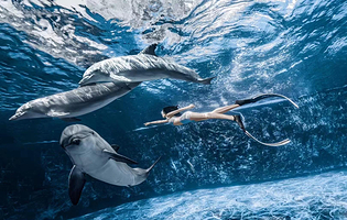 陵水海洋世界美人鱼潜水中心