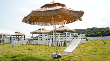 布里斯羊驼牧场