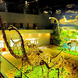 延吉恐龙博物馆