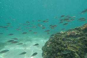 双月湾潜能潜水俱乐部