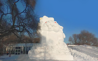 哈尔滨太阳岛泼雪节