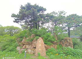 大洋山森林公园