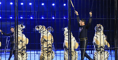 东北庄杂技文化园区