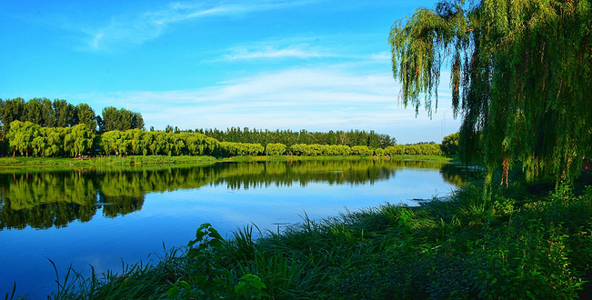稻香湖自然湿地公园