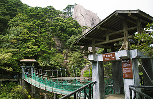 渡仙桥