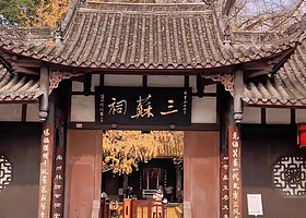 眉山市东坡书画院