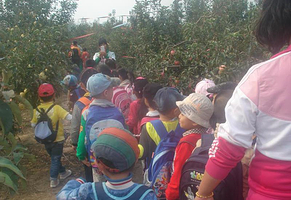 小龙湾苹果采摘园