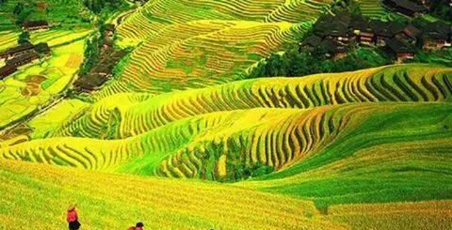 桂东县