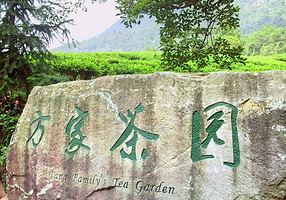 方家茶园